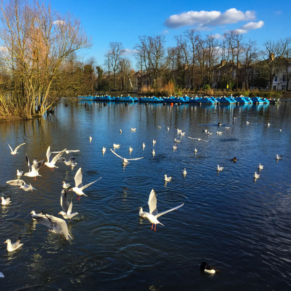 Bromley