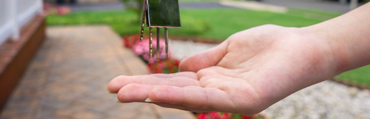 Renting Sandra Davidson