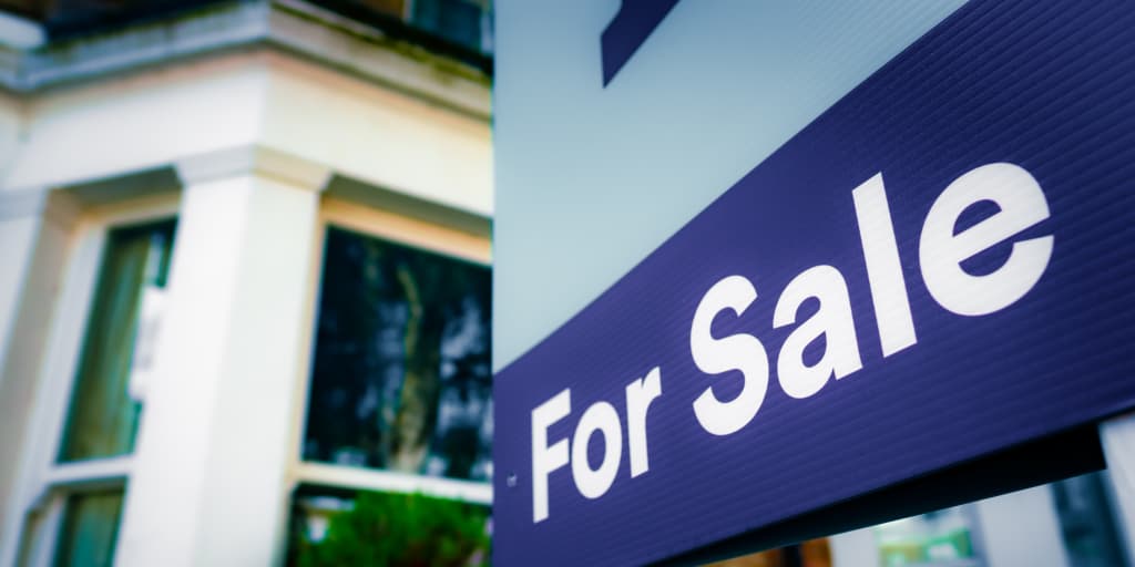 Zoopla sales up