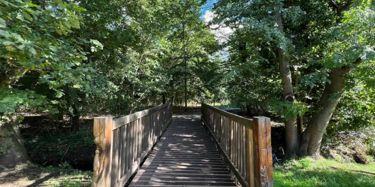 Romford area guide