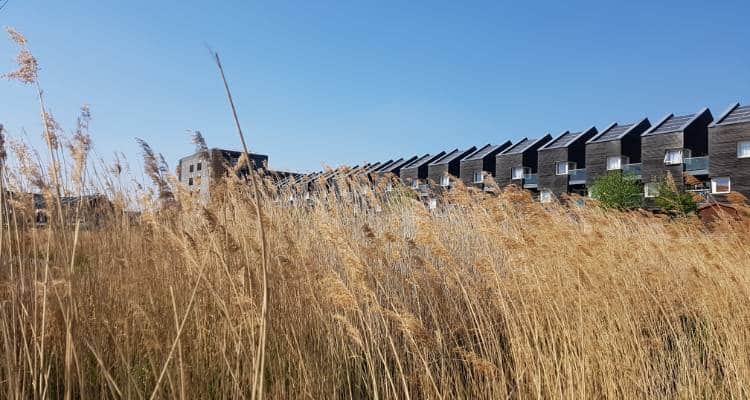 Architecture and property guide for barking