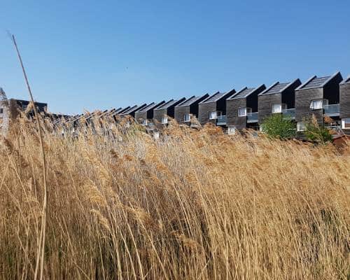 Property in Barking: Types, Characteristics & What to Check